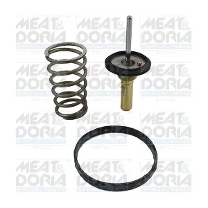 92939 MEAT & DORIA