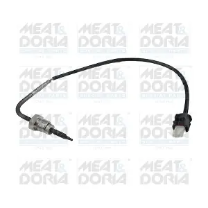11966E MEAT & DORIA