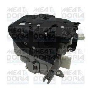 31382 MEAT & DORIA