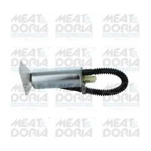 77660 MEAT & DORIA