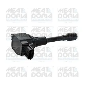 10795 MEAT & DORIA