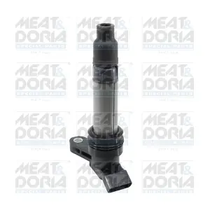 10831 MEAT & DORIA