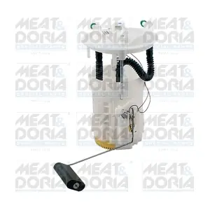 79298 MEAT & DORIA
