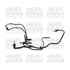 98242 MEAT & DORIA