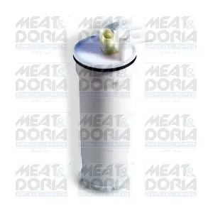 79077 MEAT & DORIA