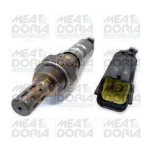 MEAT & DORIA 81819