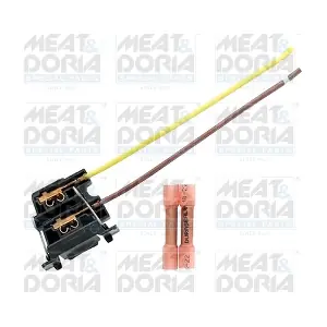 25231 MEAT & DORIA