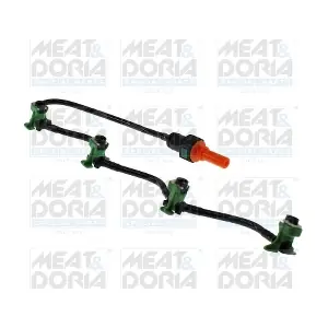9875 MEAT & DORIA