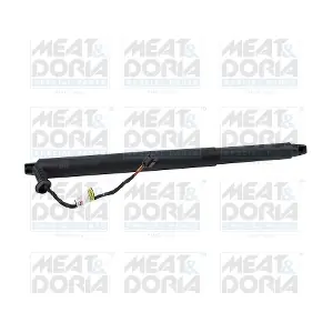 301081 MEAT & DORIA