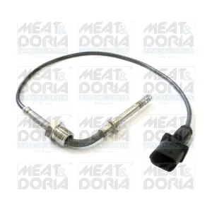 11987 MEAT & DORIA