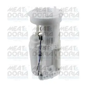 77939 MEAT & DORIA