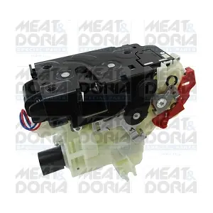 31379 MEAT & DORIA