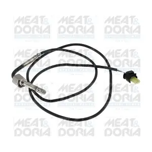 12850 MEAT & DORIA