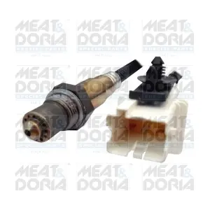 81771 MEAT & DORIA