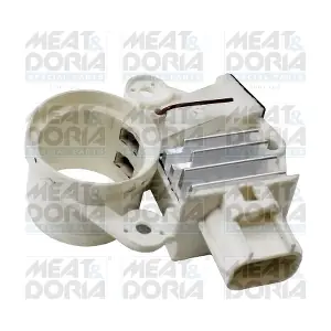 52258 MEAT & DORIA