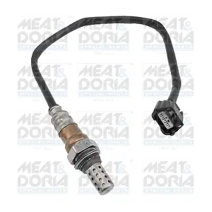 81941 MEAT & DORIA