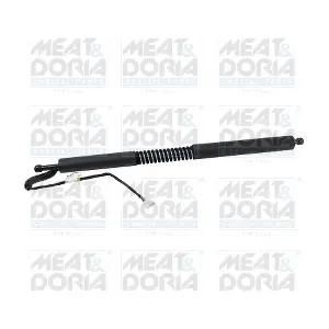 301077 MEAT & DORIA