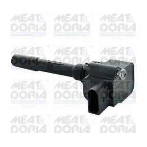 10818 MEAT & DORIA