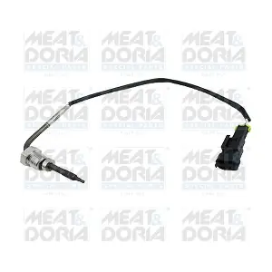 12048E MEAT & DORIA