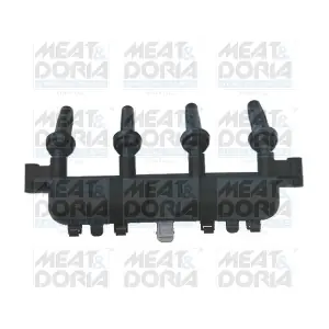 10324 MEAT & DORIA