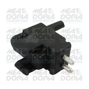 36157 MEAT & DORIA