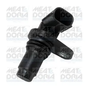 871095 MEAT & DORIA
