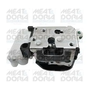 31002 MEAT & DORIA