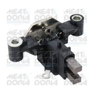 52079 MEAT & DORIA