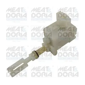 31444 MEAT & DORIA
