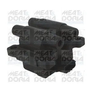 10691 MEAT & DORIA