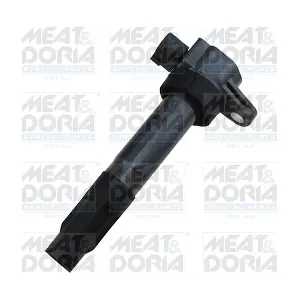 10811E MEAT & DORIA