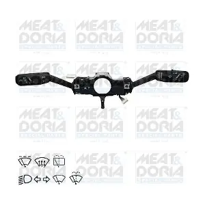 23734 MEAT & DORIA