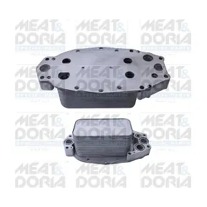 95247 MEAT & DORIA