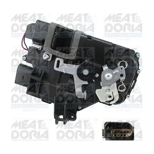 31173 MEAT & DORIA