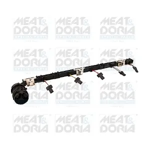 25489 MEAT & DORIA