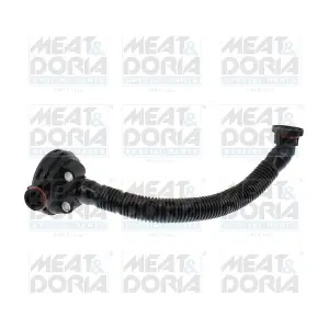 91704 MEAT & DORIA