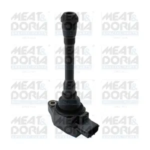 10884 MEAT & DORIA