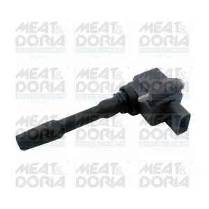 10806 MEAT & DORIA