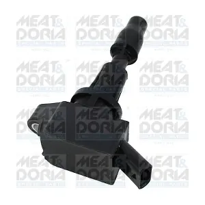 10824 MEAT & DORIA