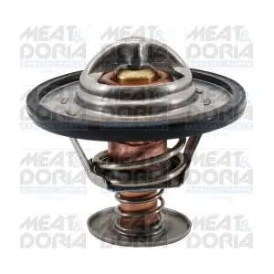 92421 MEAT & DORIA