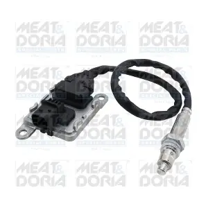 57206 MEAT & DORIA