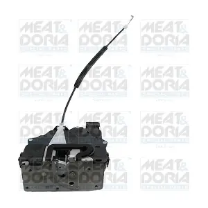 31332 MEAT & DORIA