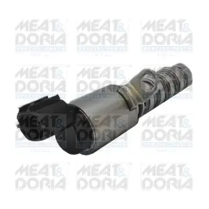 91536 MEAT & DORIA