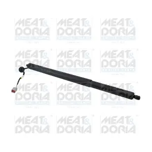 301106 MEAT & DORIA