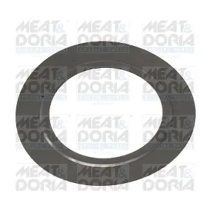 016196 MEAT & DORIA