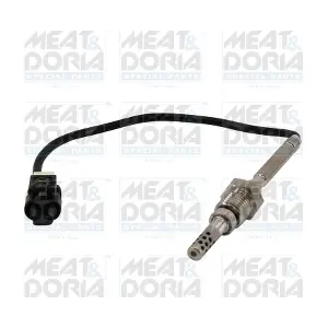 12501 MEAT & DORIA