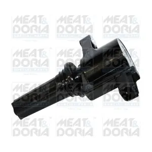 MEAT & DORIA 10676
