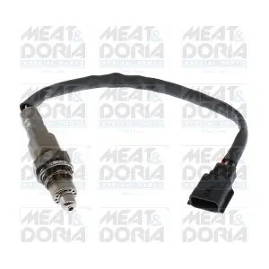 811087E MEAT & DORIA