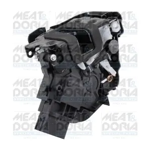 31391 MEAT & DORIA