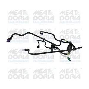 98053 MEAT & DORIA